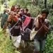 Ibu Hamil di Tapsel Ditandu Pakai Bambu Selama 6 Jam ke RS, Bayi Meninggal