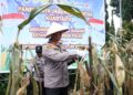 Lahan Tak Produktif di Bandung Barat Kini Berdaya, Polres Cimahi Targetkan 1.700 Hektare Jagung