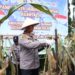 Lahan Tak Produktif di Bandung Barat Kini Berdaya, Polres Cimahi Targetkan 1.700 Hektare Jagung