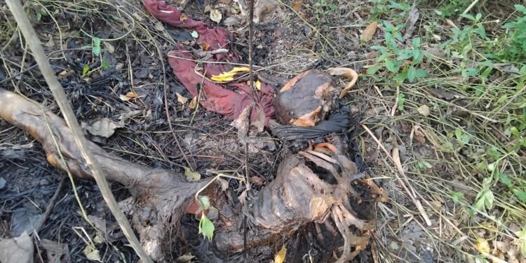 Kerangka tersebut ditemukan sekitar pukul 08.00 WIB