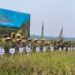 Pangdam I/BB Tegaskan TNI All Out Kawal Ketahanan Pangan, Panen Raya Gunung Tinggi Jadi Bukti Nyata